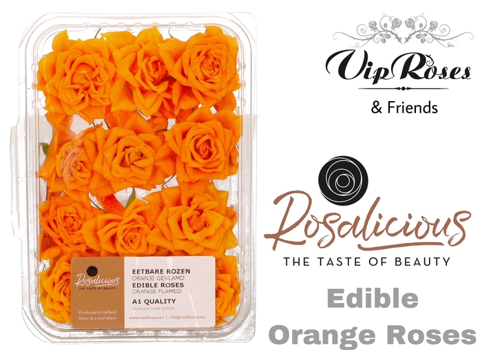Edible rosa rosalicious orange