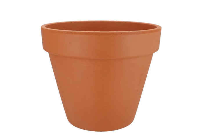 Terracotta Basic Pot 25cm