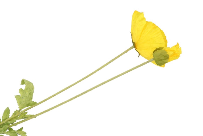 Silk Papaver 2x Yellow 96cm