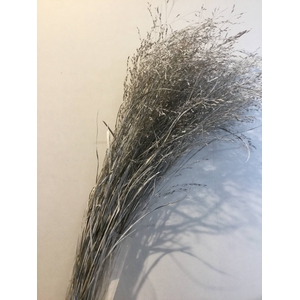 DRIED FLOWERS - GRASS WHITE