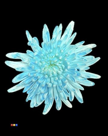 <h4>Chr G Topspin Dusty Pastel Blue</h4>