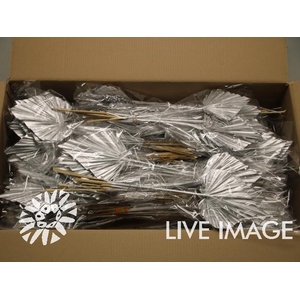 Dried palm spear (10/bunch) paint silver