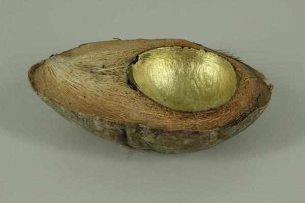 Coconut Half Inside Gold