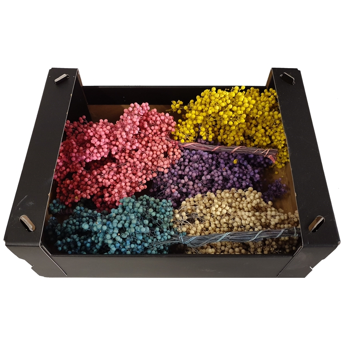 <h4>Pepperberries per bunch in poly Mixed colours Frosted</h4>