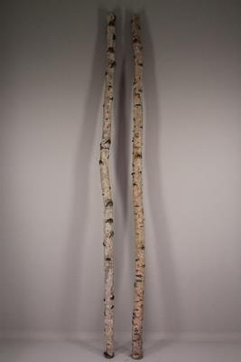 Birch Trunk 6-8cm 240cm