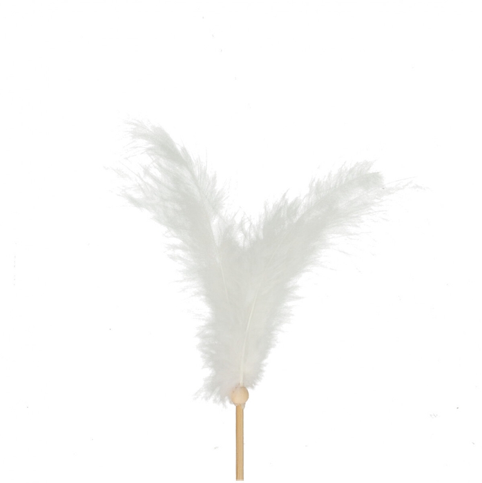 <h4>Sticks 50cm feather 14cm</h4>