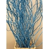 Salix 130cm Light Blu