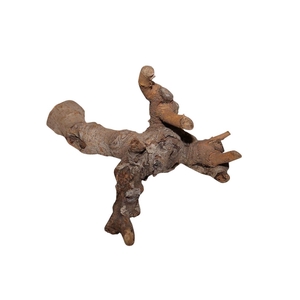 Dried articles Kuwa root 25-30cm