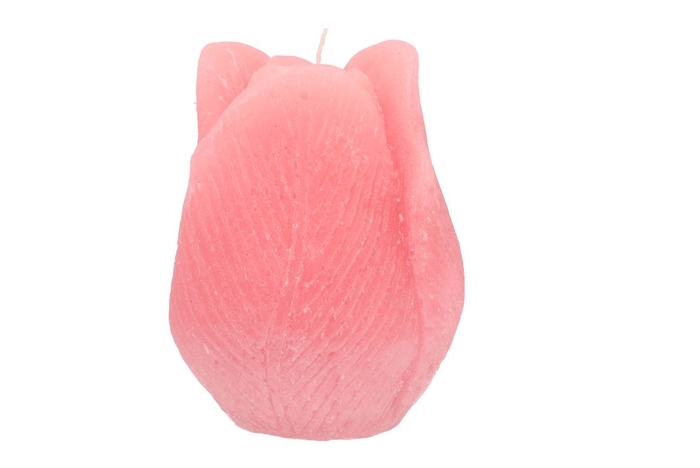 <h4>Candle Tulip Blush Pink 10x13cm</h4>