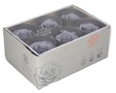<h4>rose standard silky grey</h4>
