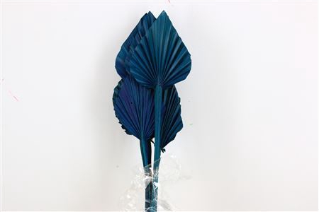 <h4>Dried Palm Spear 10pc Turquoise Bunch</h4>