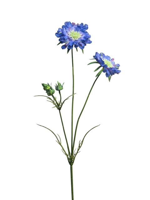 SILK FLOWERS - SCABIOSA LIZA DK BLUE 82CM