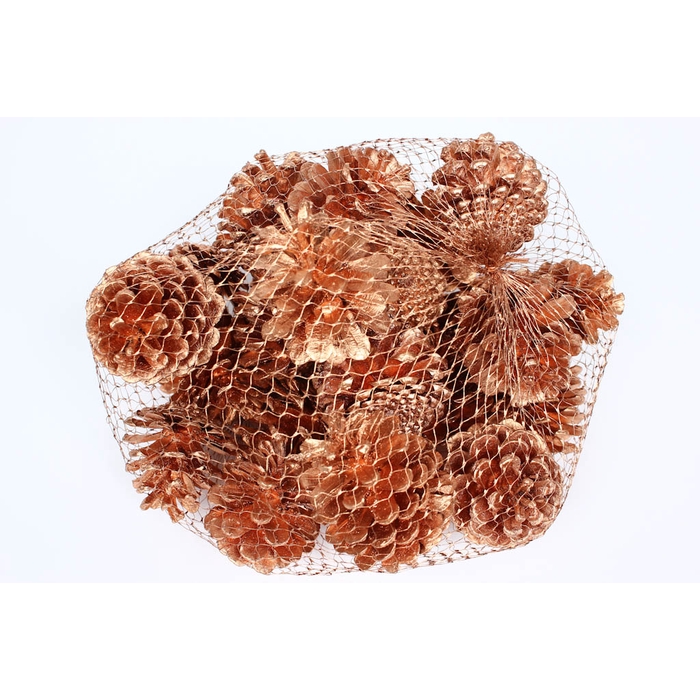 <h4>Pine cone 500gr in net Copper</h4>