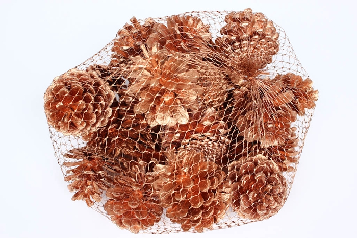 Pine cone 500gr in net Copper