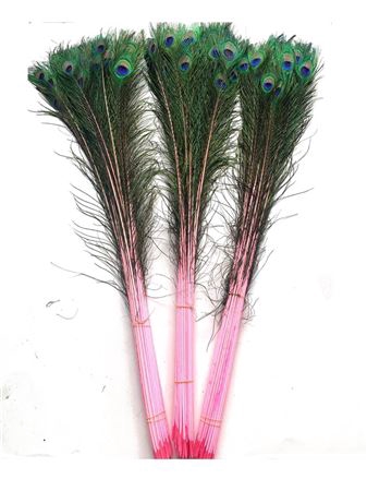BASIC FEATHER PEACOCK L90-100