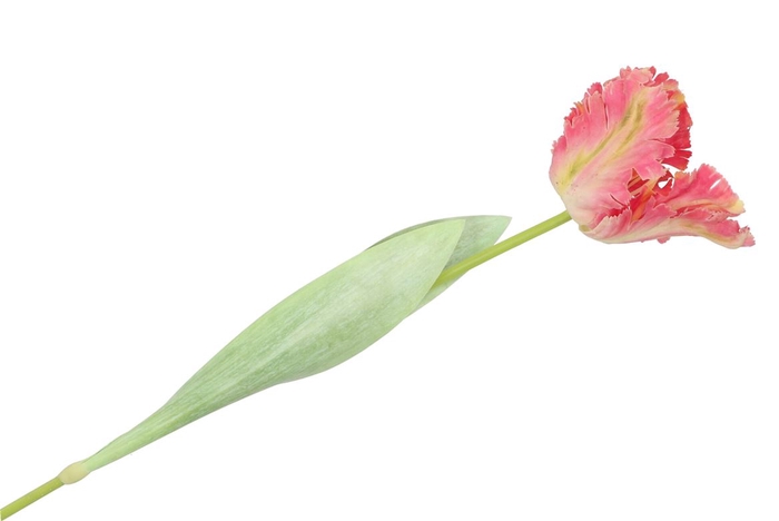 Silk Tulip Pink/yellow 64cm