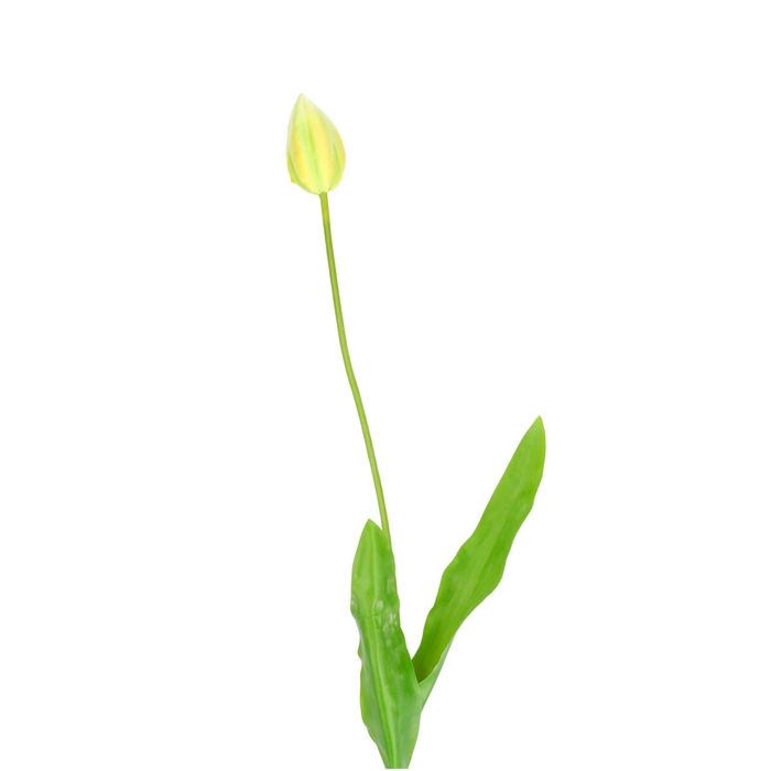 <h4>Artificial flowers Tulip 66cm</h4>