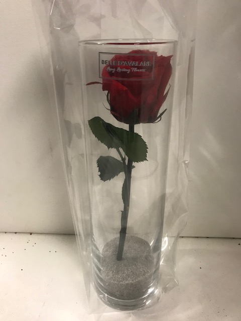 Glas met roos roos d6.5x23cmh