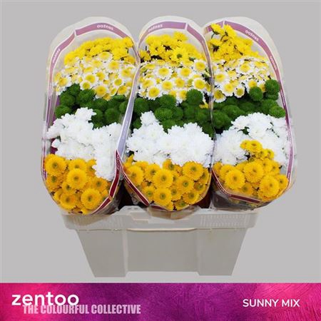 <h4>Chr S Gemengd Sunny Mix</h4>