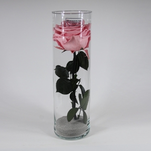 Cilinder d9x30h roze glas