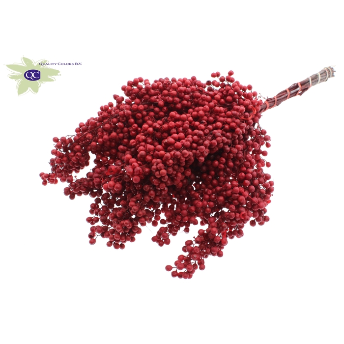 <h4>Pepperberries per bunch in poly Red</h4>
