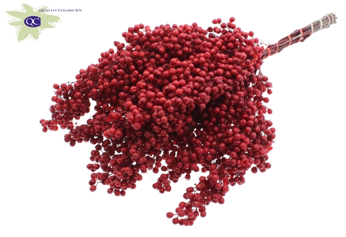Pepperberries per bunch in poly Red
