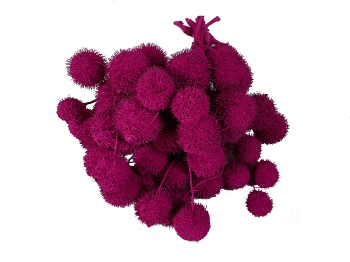 <h4>Small ball per bunch in poly cerise</h4>