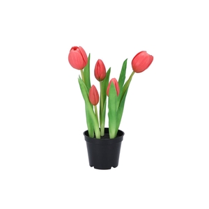 Silk Tulip In Pot 5x Fuchsia 26cm