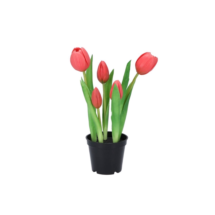 <h4>Silk Tulip In Pot 5x Fuchsia 26cm</h4>