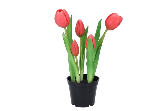 <h4>Silk Tulip In Pot 5x Fuchsia 26cm</h4>