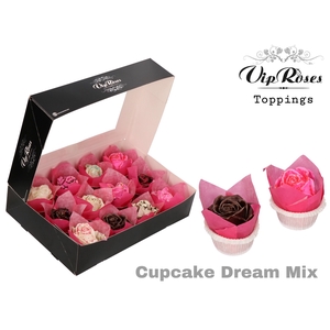 Rosa la paint cupcake roses (R366)