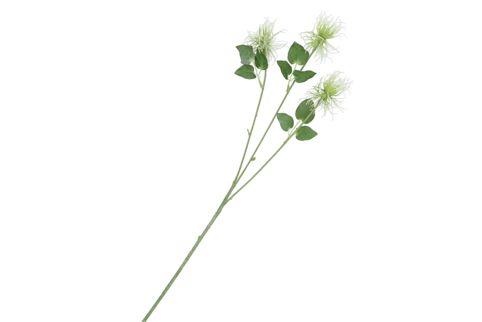 Silk Tillandsia Green 79cm