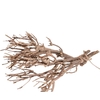 Dried articles Twig bundle 30-45cm