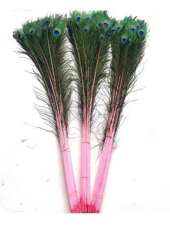<h4>Feather Peacock Natural Pink P Stem</h4>