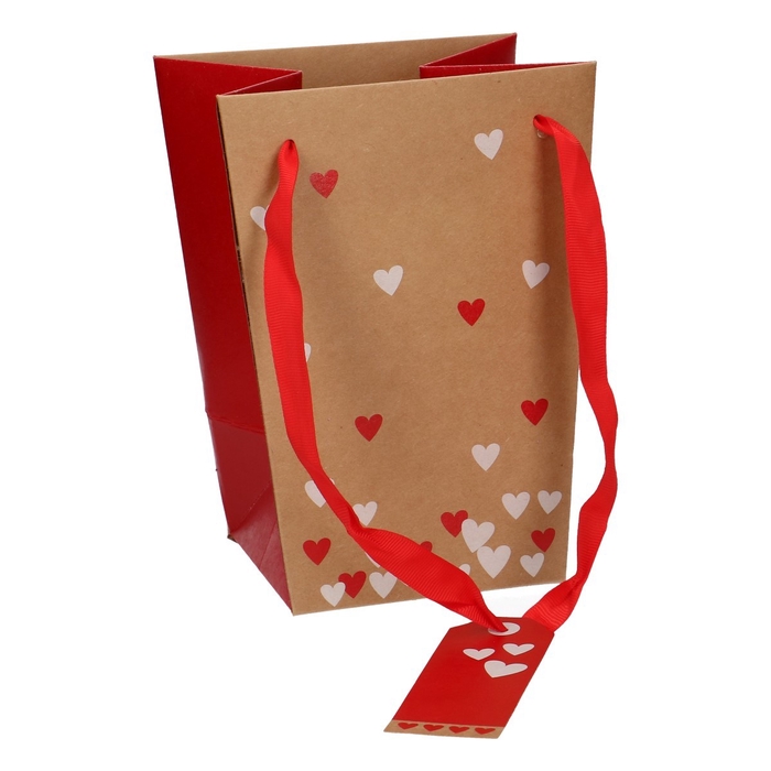 <h4>Mothersday bag send love d15/11 20cm</h4>