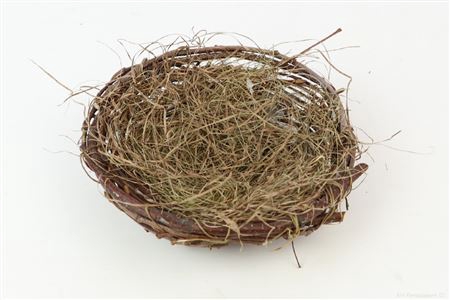Nest Limber Twig D10