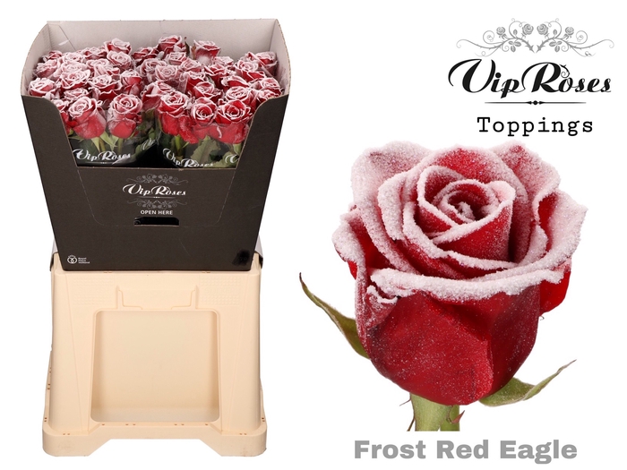 R GR FROST RED EAGLE