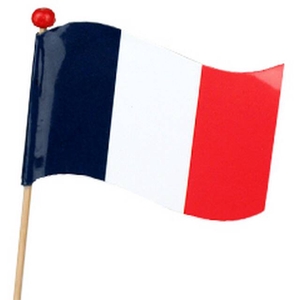 Bijsteker Waving flag FR 5x6,5cm+50cm stok
