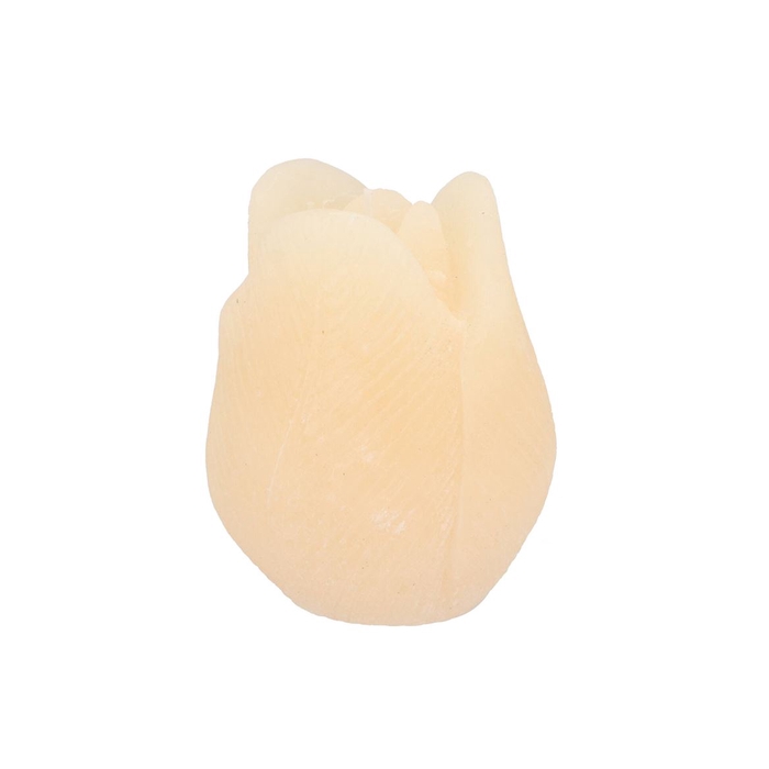 <h4>Candle Tulip Ivory 10x13cm</h4>