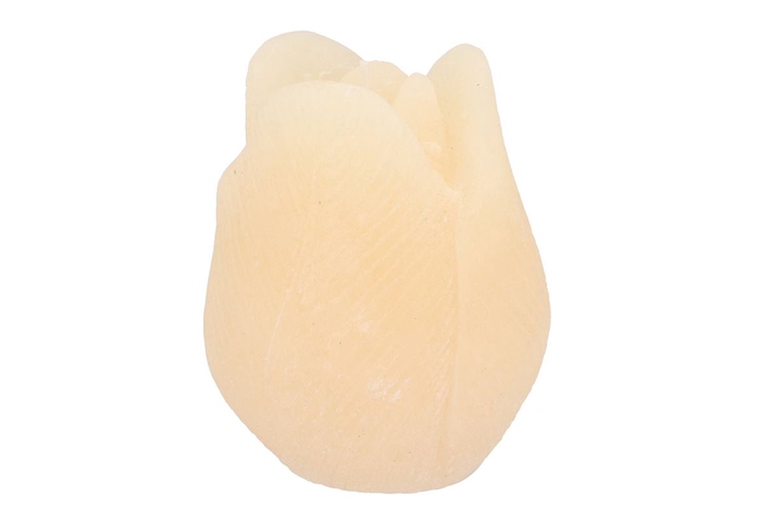 <h4>Candle Tulip Ivory 10x13cm</h4>