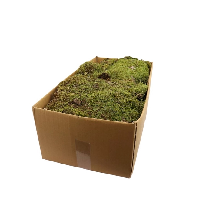 <h4>Dried articles Moss 2kg</h4>