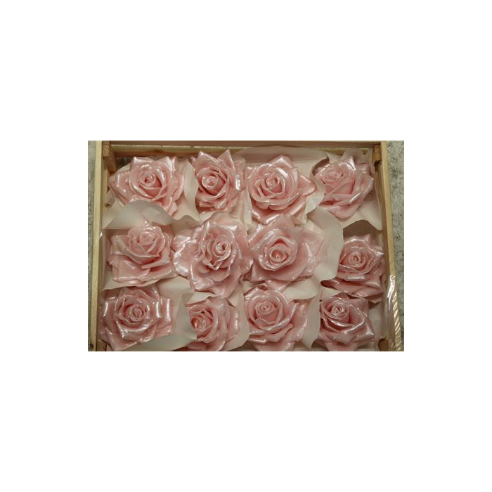 <h4>Wax Roos Pearl Rosa</h4>