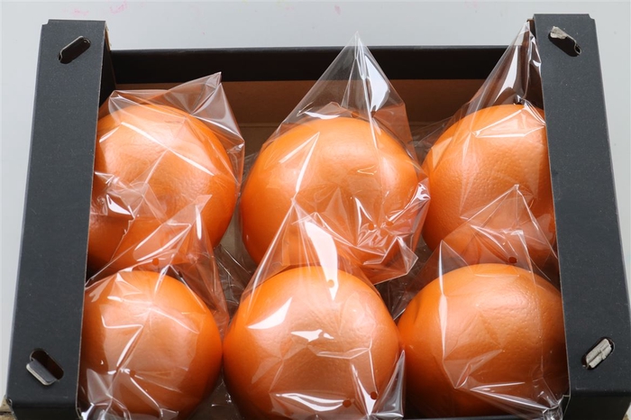 <h4>Basic Ostrich Egg Pearl Orange Pce</h4>