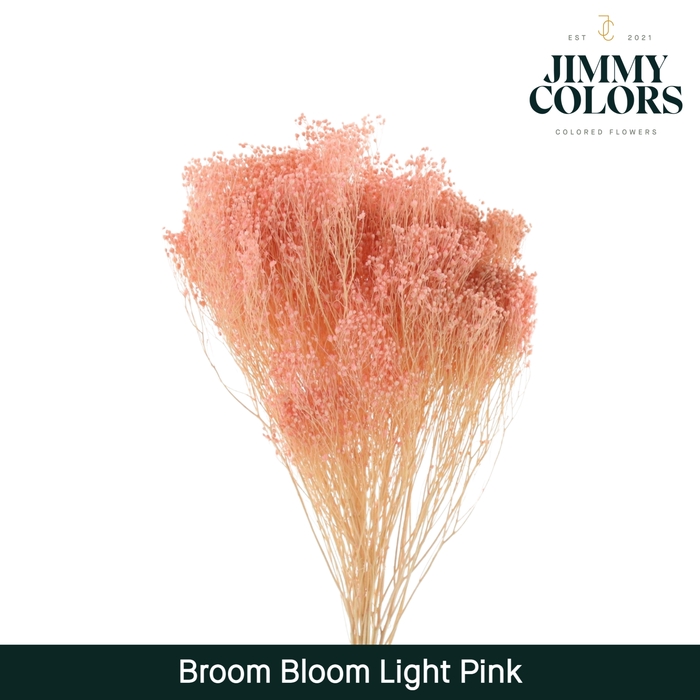<h4>Broom bloom Light pink</h4>