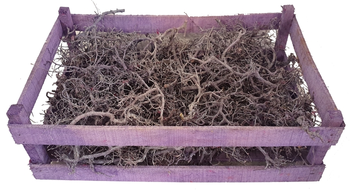 Bonsai branches in box Frosted Milka