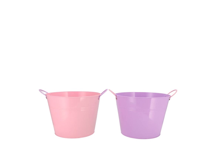 <h4>Zinc Basic Lila/pink Ears Bucket 16x14cm</h4>
