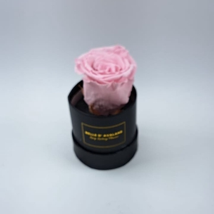 Box rd 8cm zwart-roze
