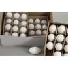 Egg Goose Natural Box(12pcs)