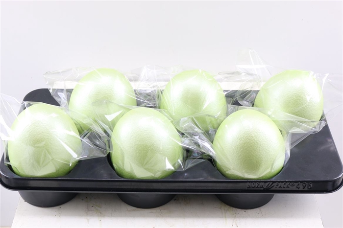 <h4>Basic Ostrich Egg Pearl Green Pce</h4>