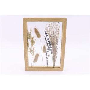ARR FRAME EXPOSE DRIED PROVENCE L17.5W2